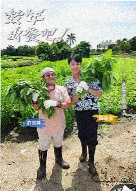 压制步骤示意：势力关系归类